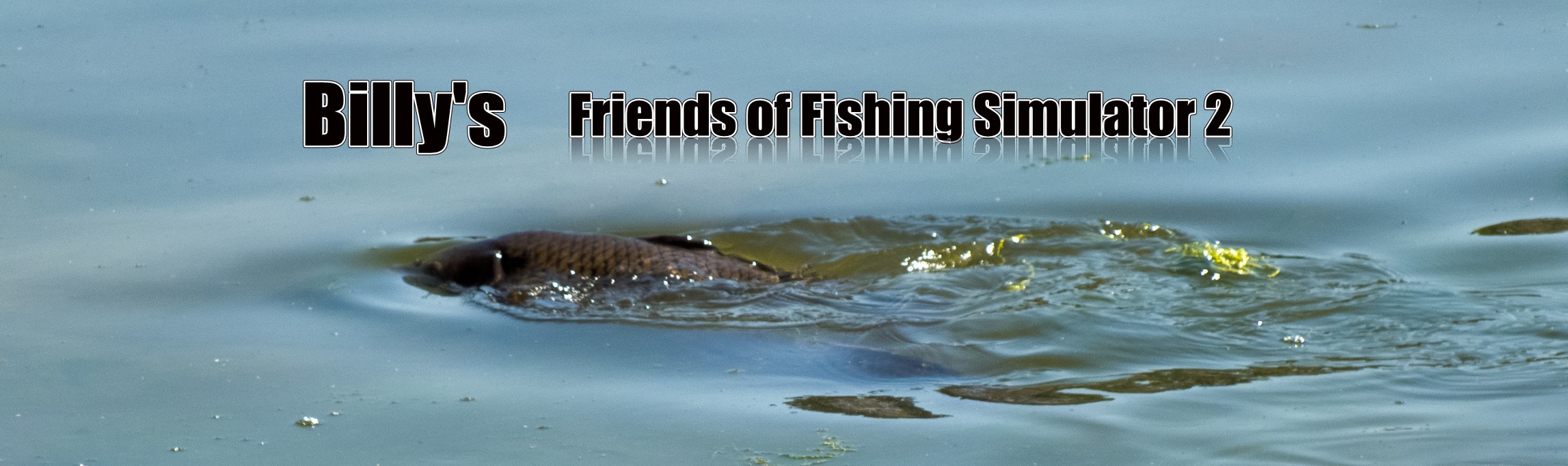 Friends of Fishing Simulator 2